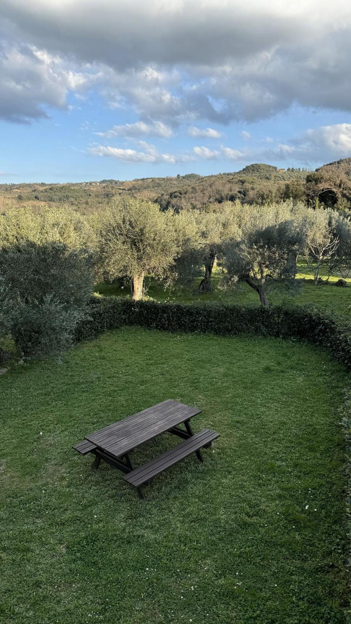 Agriturismo Soiano Famiglia Rolfini Montaione Eksteriør bilde