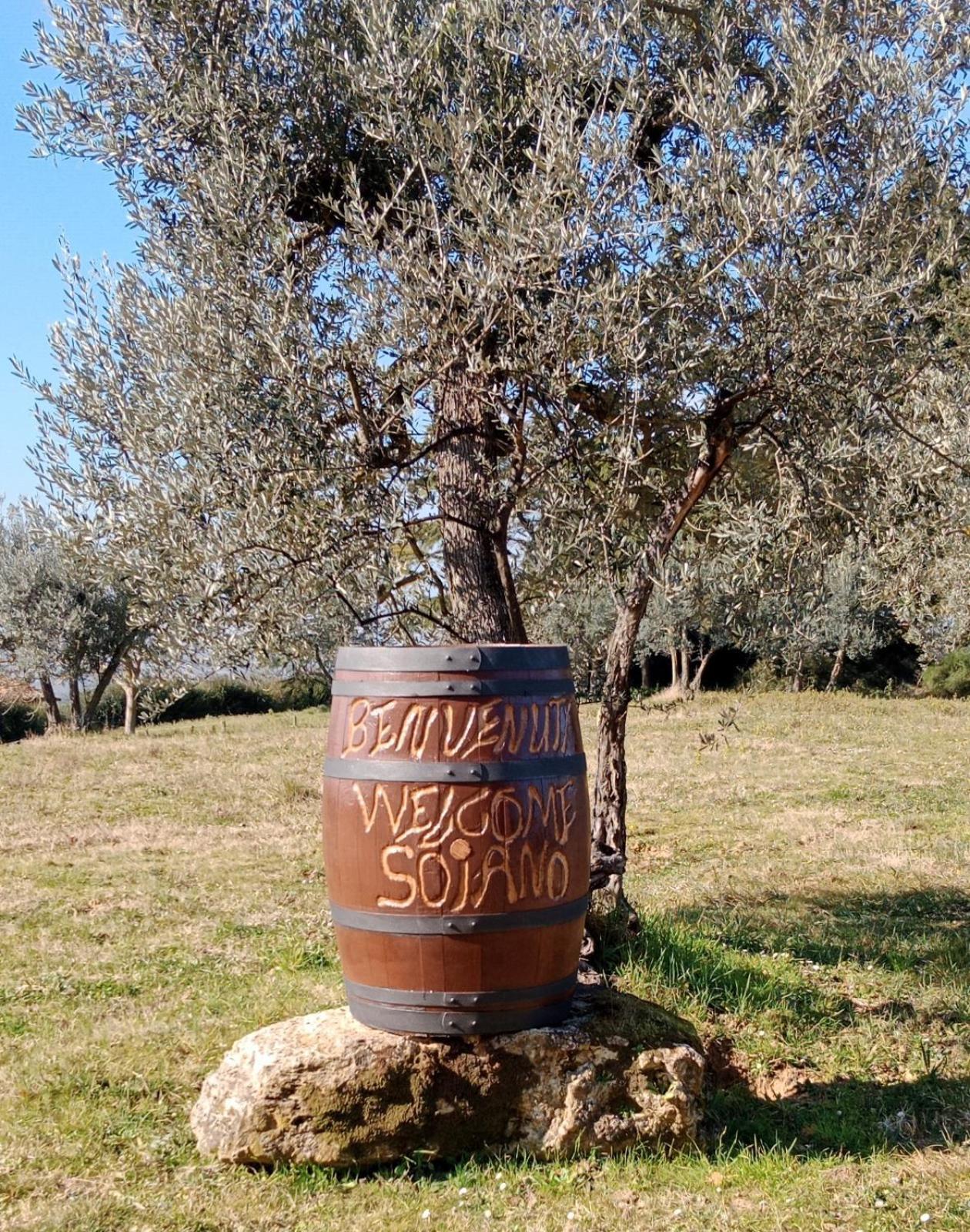 Agriturismo Soiano Famiglia Rolfini Montaione Eksteriør bilde