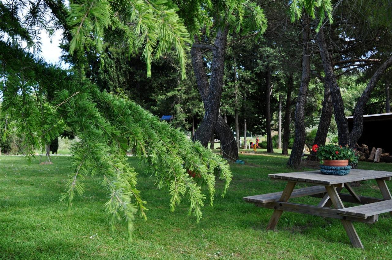 Agriturismo Soiano Famiglia Rolfini Montaione Eksteriør bilde