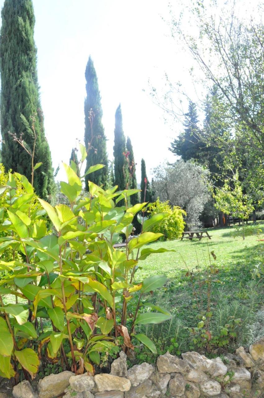 Agriturismo Soiano Famiglia Rolfini Montaione Eksteriør bilde